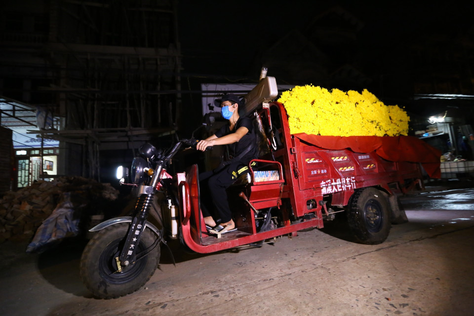 Người dân thôn Hạ Lôi đã chuẩn bị những "mẻ" hoa đầu tiên để mang đi tiêu thụ sau gần 1 tháng bị phong tỏa. (Ảnh: Minh Quyết/TTXVN)