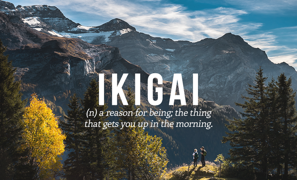  IKIGAI (dt) lý do tồn tại; điều khiến bạn thức dậy vào buổi sáng.