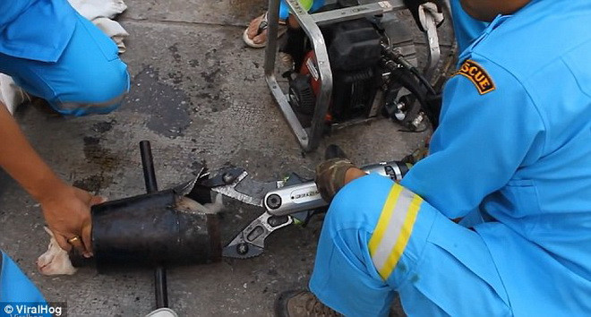 Con chó tỏ ra rất khó chịu và đau đớn khi mắc kẹt. (Nguồn: Daily Mail)