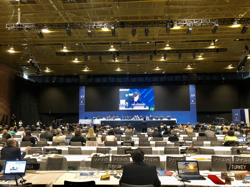 Quang cảnh Kỳ họp thường niên lần thứ 14 của Ủy ban liên Chính phủ Công ước 2003 về bảo vệ di sản văn hoá phi vật thể tại Colombia. (Nguồn: Vietnam+) 