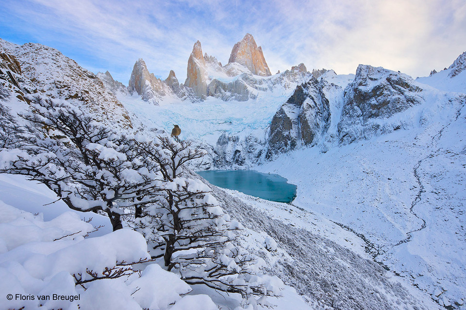 Khung cảnh lạnh lẽo trong Vườn quốc gia Los Glaciares của Argentina. Bức ảnh của Floris van Breugel