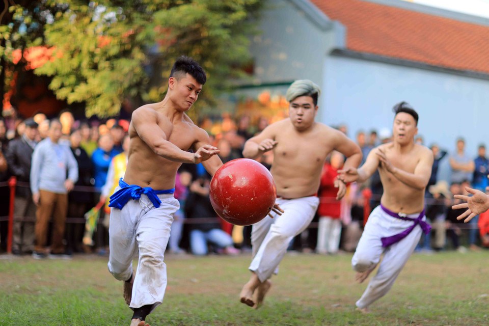 Quyết tâm đưa quả cầu gỗ về phía lỗ của đội mình. (Ảnh: Anh Tuấn/TTXVN)