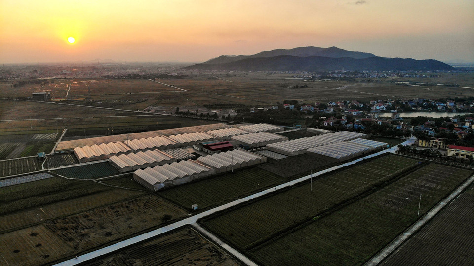 Khu nhà lưới của HTX Rau sạch Yên Dũng, trồng rau, củ, quả… áp dụng công nghệ cao. (Ảnh: Minh Quyết/TTXVN)