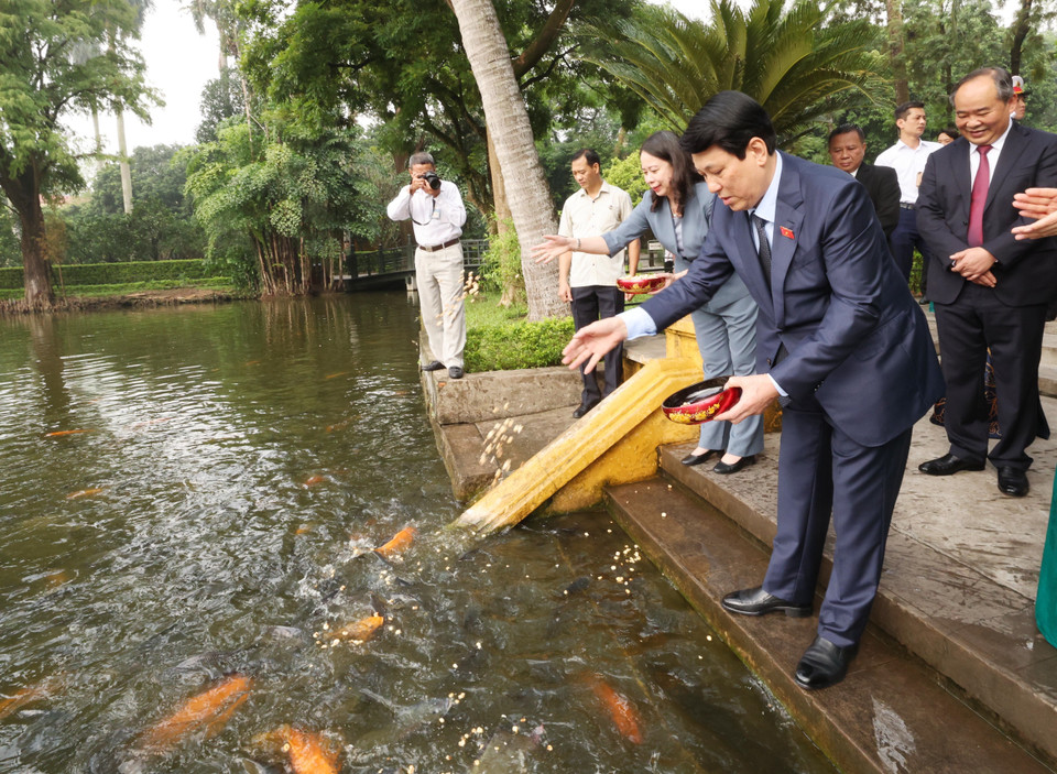 Chủ tịch nước Lương Cường thăm Ao cá Bác Hồ trong khuôn viên Khu di tích Chủ tịch Hồ Chí Minh tại Phủ Chủ tịch. (Ảnh: Lâm Khánh/ TTXVN)