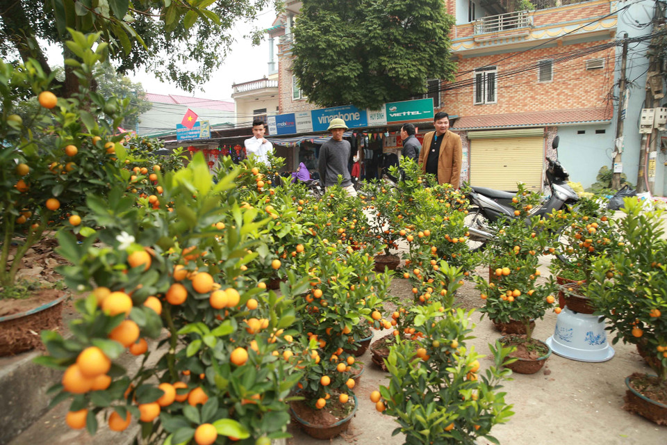Không khí Tết tràn ngập đường vào xã Đồng Tâm, nhân dân phấn khởi, chào đón một mùa xuân mới bình an. (Ảnh: Doãn Tấn/TTXVN)