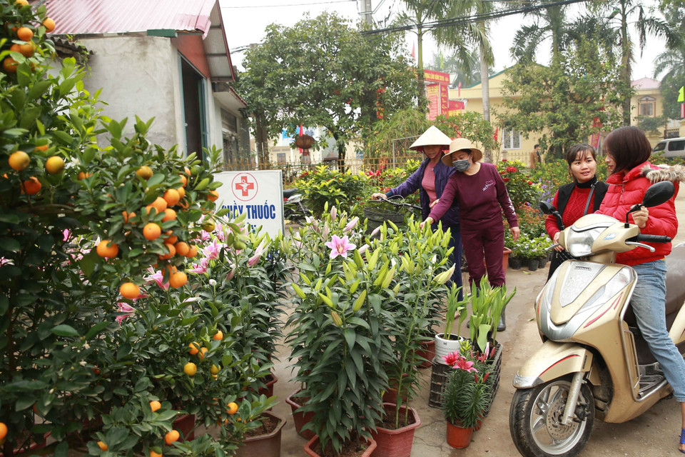 Không khí Tết tràn ngập đường vào xã Đồng Tâm, người dân tất bật mua sắm, chuẩn bị chào đón một mùa xuân mới bình an. (Ảnh: Doãn Tấn/TTXVN)