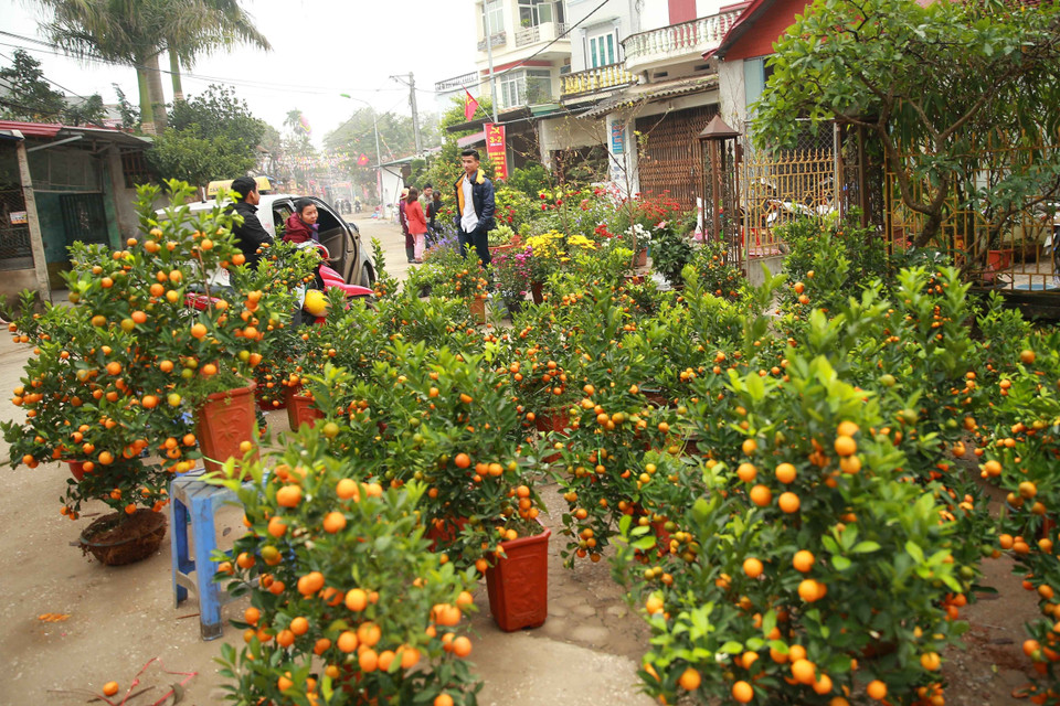 Không khí Tết tràn ngập đường vào xã Đồng Tâm, người dân tất bật mua sắm, chuẩn bị chào đón một mùa xuân mới bình an. (Ảnh: Doãn Tấn/TTXVN)