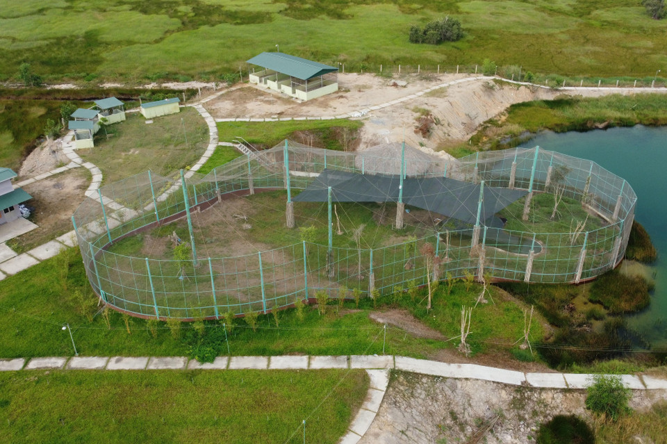 Chuồng dùng để nuôi nhốt các loài chim tại Trại bảo tồn sinh vật Vườn quốc gia Tràm Chim. (Ảnh: Nhựt An/TTXVN)