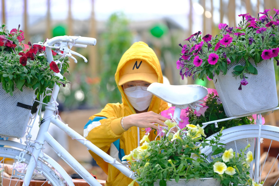 Cận kề ngày khai mạc, công tác chuẩn bị càng hối hả hơn. Trong ảnh là một công nhân tỉ mỉ trang trí chiếc xe đạp hoa bên không gian hoa ở hồ Xuân Hương. (Ảnh: Nguyễn Dũng/TTXVN)