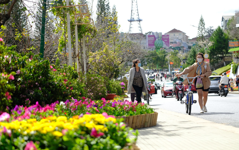 Không gian hoa trên đường Lê Đại Hành (ngay khu Hòa Bình, Đà Lạt) rực rỡ sắc hoa chào đón Festival hoa lần thứ 9. (Ảnh: Nguyễn Dũng/TTXVN)