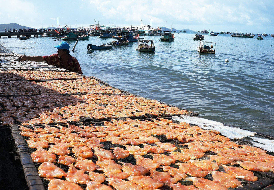 Đảo Nam Du, xã An Sơn, huyện Kiên Hải (Kiên Giang) có nguồn lợi hải sản rất phong phú. Từ các loại hải sản, qua quá trình sơ chế và tẩm ướp với những bí quyết riêng, người dân nơi đây chế biến thành vô số loại hải khô. (Ảnh: Nguyễn Vũ Thành Đạt/TTXVN)