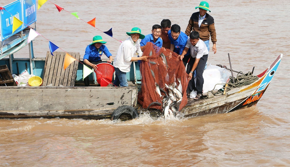 Thả cá để tái tạo nguồn lợi thủy sản trên sông Vàm Nao, huyện Chợ Mới (An Giang). (Ảnh: Công Mạo/TTXVN)