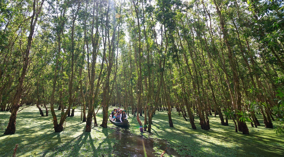 Khách du lịch tham quan rừng tràm Trà Sư (An Giang). (Ảnh: Duy Khương/TTXVN)