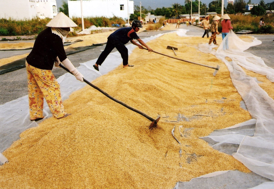 Nông dân xã Mỹ Lâm, huyện Hòn Đất (Kiên Giang) phơi thóc vừa thu hoạch vụ Đông Xuân. (Ảnh: Trần Tuấn/TTXVN)