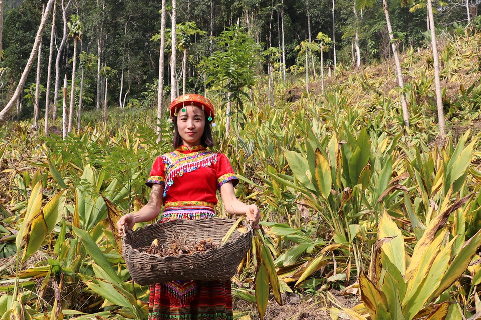 (Ảnh: Hạnh Nguyễn/Vietnam+)