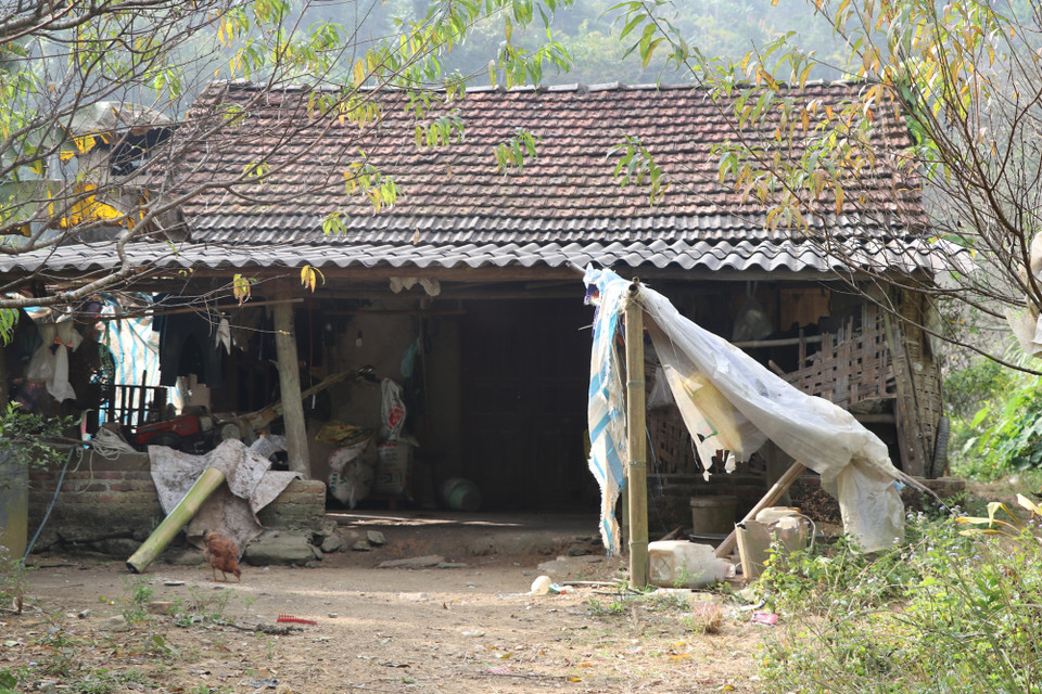  Căn nhà cũ trước đó của ông Nguyễn Văn Luyến. Ông cũng cho biết trước đây kinh tế gia đình rất khó khăn, do việc trồng trọt tự phát đồng thời nghệ sau thu hoạch phải tự mang ra chợ bán trong điều kiện đường sá xa xôi, vất vả. (Ảnh: Hạnh Nguyễn/Vietnam+)