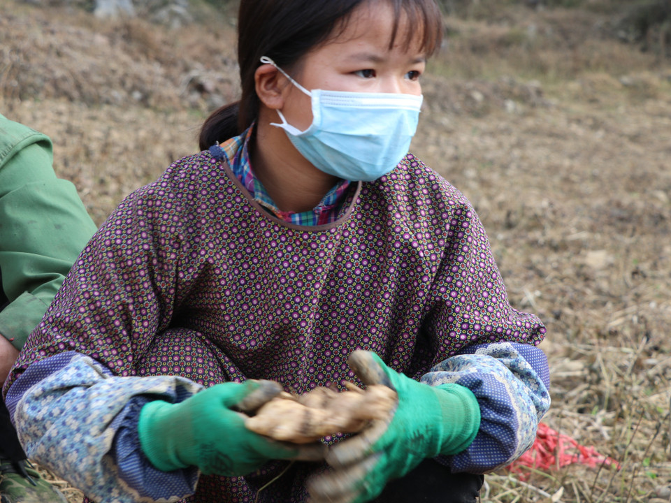 Công ty Phát triển Nông nghiệp và tư vấn Môi trường – DACE là một trong những công ty được hỗ trợ tư vấn quản trị kinh doanh từ Tổ chức CSIP và Oxfam tại Chương trình “Hỗ trợ doanh nghiệp vì mục đích phát triển”- EFD. (Ảnh: Hạnh Nguyễn/Vietnam+)