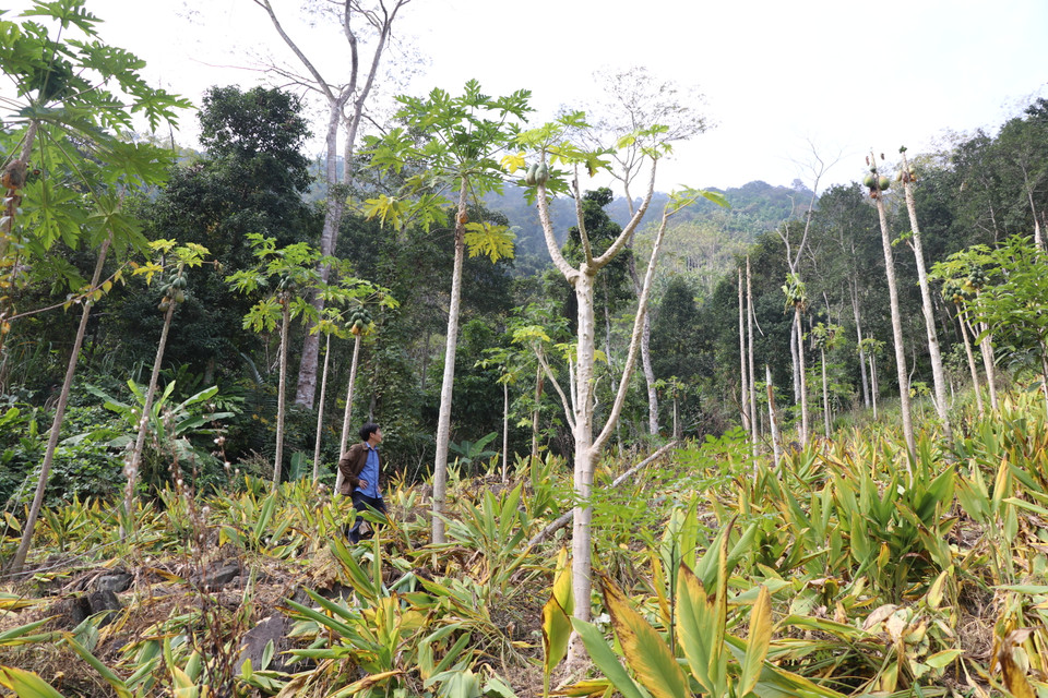 Công ty Nông sản sạch Bắc Kạn được hỗ trợ đào tạo quản trị kinh doanh từ Chương trình Hỗ trợ doanh nghiệp vì mục tiêu phát triển (EFD) của Oxfam. (Ảnh: Hạnh Nguyễn/Vietnam+)