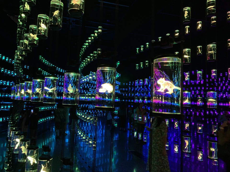 Phòng lưu giữ 2.400 hộp chứa các mẫu vật của nhiều giống động thực vật trên trái đất tại Bảo tàng Tương lai ở Dubai. (Ảnh: Dương Giang/TTXVN)