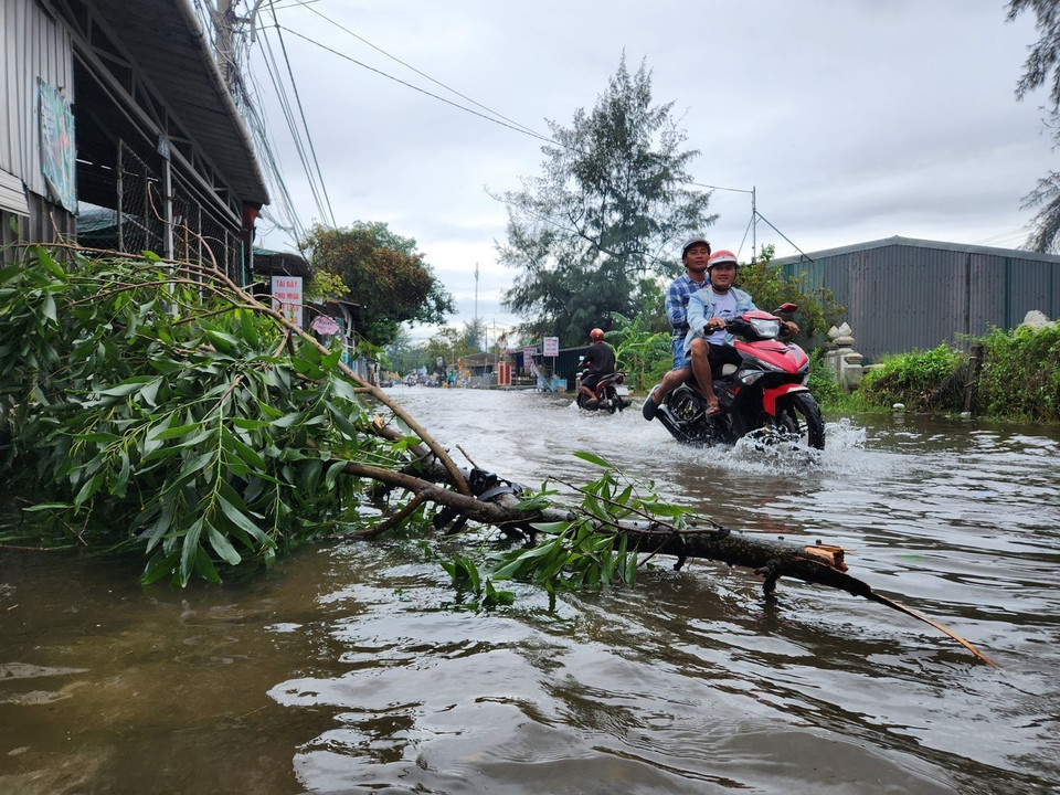 Cây xanh tại Thừa Thiên-Huế gãy cành, đường xá ngập lụt do ảnh hưởng bão số 6. (Ảnh: Mai Trang/TTXVN)