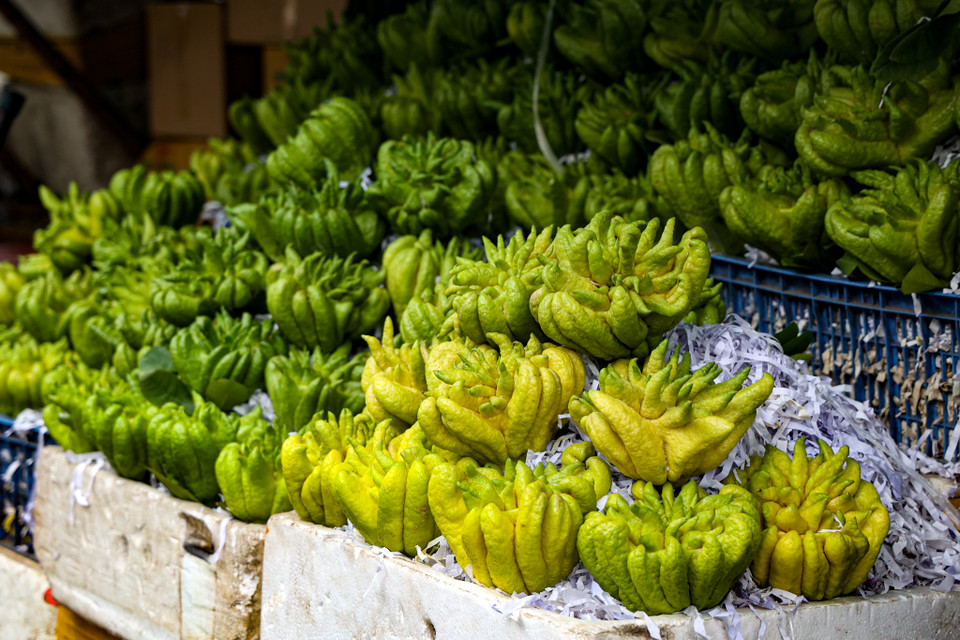 Giá phật thủ dịp lễ Tết cũng tăng cao rõ rệt so với ngày thường: Giá hiện dao động mức 30.000-80.000 đồng/quả. (Ảnh: Minh Hiếu/Vietnam+)