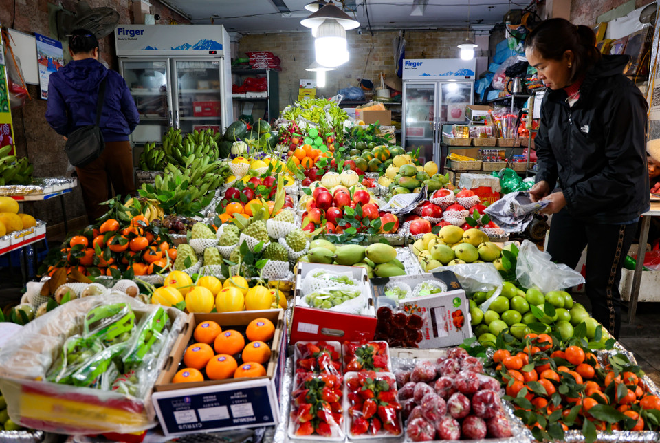 Tương tự, giá các mặt hàng trái cây bắt đầu 'nhích' dần lên. Hiện bưởi Diễn có giá 15.000-35.000 đồng/quả, quýt Sài Gòn 35.000-40.000 đồng/kg, cam canh giá 40.000-50.000 đồng/kg, thanh long ruột đỏ giá 50.000-60.000 đồng/kg, xoài Cát Chu 50.000-65.000 đồng/kg... (Ảnh: Minh Hiếu/Vietnam+)