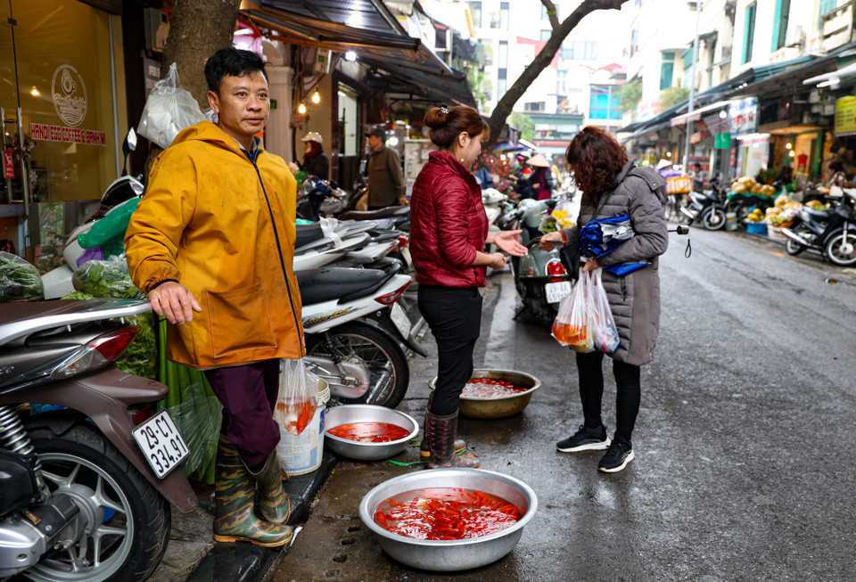 Bên cạnh vàng mã, cá chép đỏ là mặt hàng tiêu thụ lớn không kém dịp ông Công ông Táo. (Ảnh: Minh Hiếu/Vietnam+)