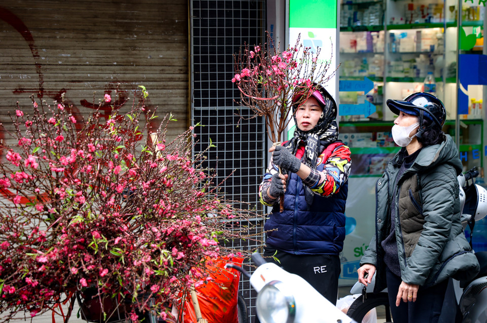 Nhiều người cũng mua các loại cành đào nhỏ để thắp hương dịp Rằm, ông Công ông Táo. Giá cành dao động từ 40.000-100.000 đồng/cành tuỳ kích thước. (Ảnh: Minh Hiếu/Vietnam+)