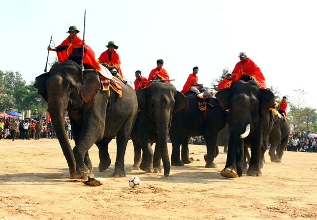 Trái bóng lăn dưới những đôi chân có chút vụng về của những cầu thủ voi