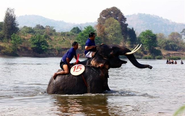 Phần thi bơi có lẽ là phần thi khó khăn nhất