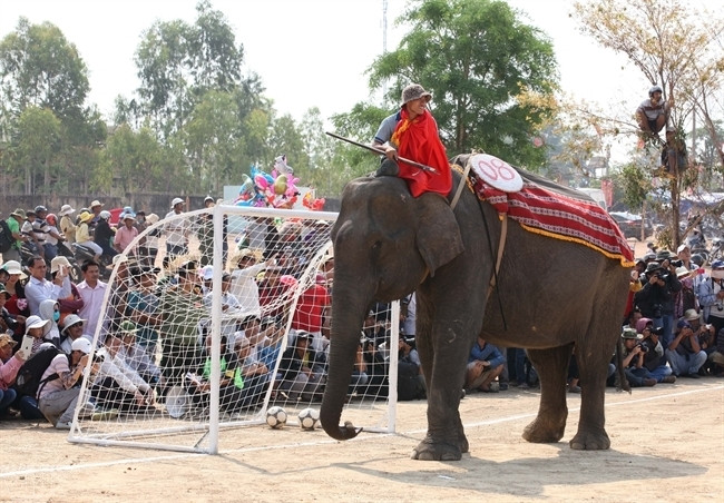 Thủ môn voi bên đội cờ đỏ