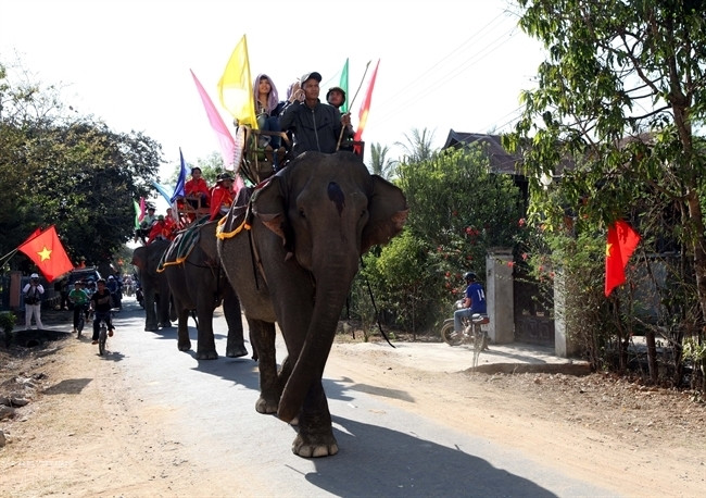 Lễ diễu hành voi trên đường trước khi bước vào các phần thi