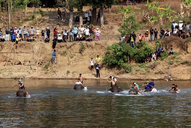 Phần thi bơi của voi được diễn ra tại bến Tha Luống nằm ngay trong Bản Đôn