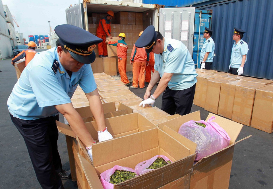 Ngày 11/5, lực lượng chức năng ở Cảng Nam Hải Đình Vũ, Hải Phòng phát hiện một container chứa 2,5 tấn lá Khát ngụy trang là chè và càphê. (Ảnh: An Đăng/TTXVN)