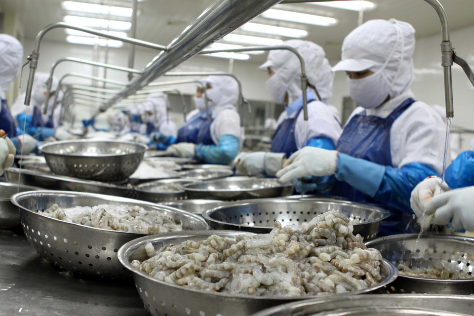 Chế biến hàng thủy sản xuất khẩu tại nhà máy của Công ty chế biến và xuất khẩu thủy sản Thọ Quang.( Ảnh: An Đăng/TTXVN)