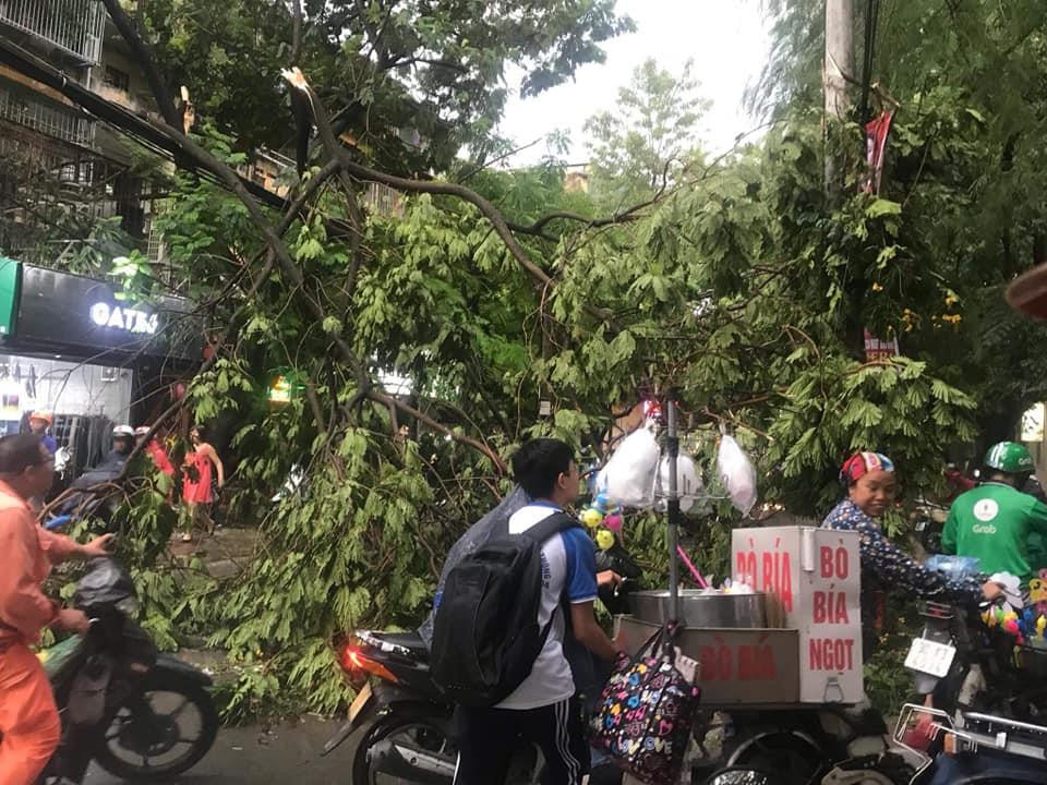 Người dân di chuyển khó khăn do cây đổ chắn lối. (Ảnh: Sơn Bách/Vietnam+)