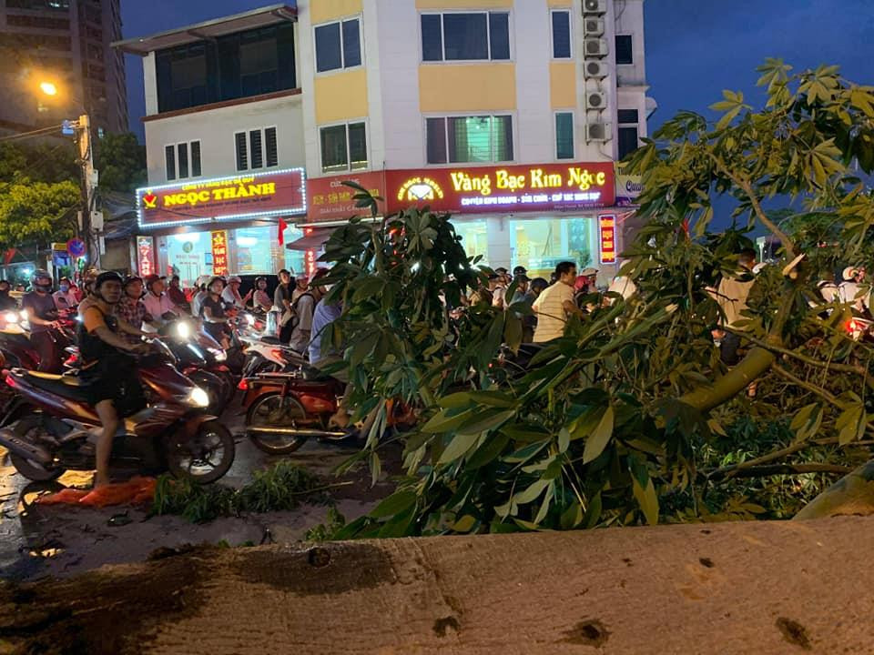 (Ảnh: Sơn Bách/Vietnam+)