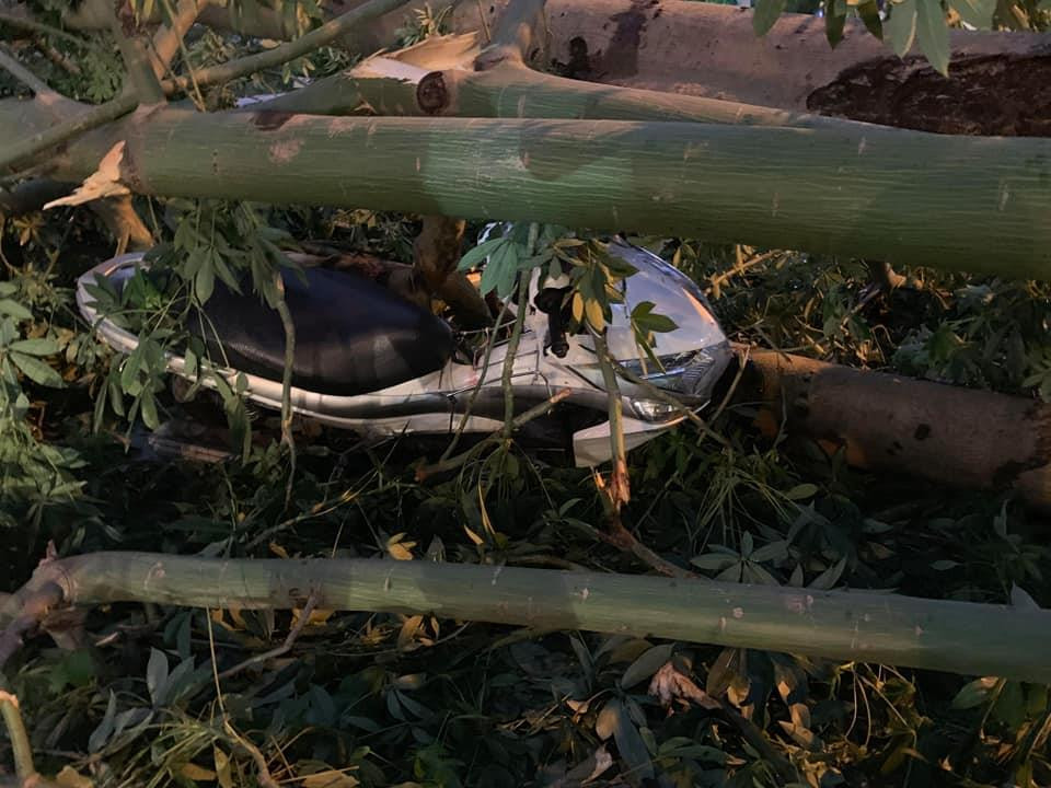 Một chiếc xe máy bị cây lớn đè lên. (Ảnh: Sơn Bách/Vietnam+)