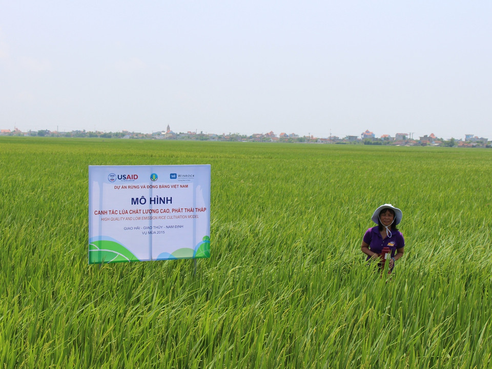 (Ảnh: Hùng Võ/Vietnam+)