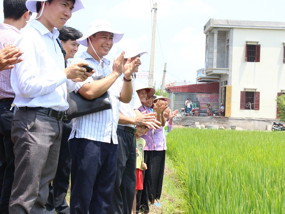 (Ảnh: Hùng Võ/Vietnam+)