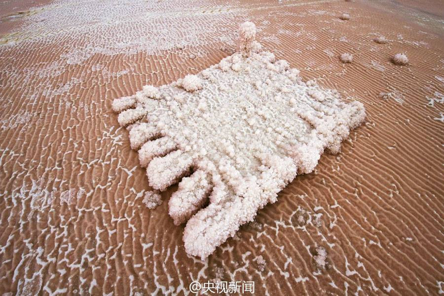 Các thành phần magnesium sulfate (hay còn gọi là muối Epsom), muối vô cơ sót lại ở phía trên. (Nguồn: CCTV)