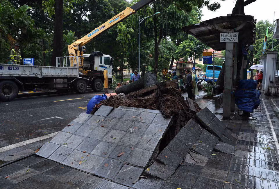 Hiện trường cây xanh bật gốc đổ vào xe buýt tại phố Tăng Bạt Hổ, phường Phạm Đình Hồ, quận Hai Bà Trưng, Hà Nội. (Ảnh: Phạm Kiên/TTXVN)