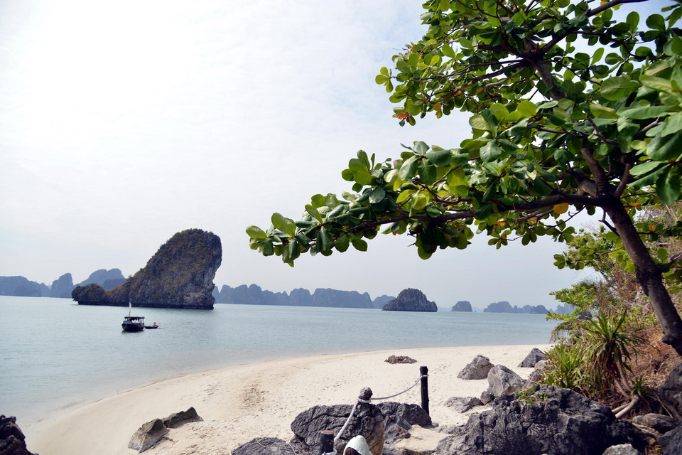 Một số bãi tắm đẹp, đáp ứng được nhu cầu của dòng khách chi tiêu cao chưa được khai thác trên Vịnh Hạ Long. (Ảnh: Thanh Vân/TTXVN)