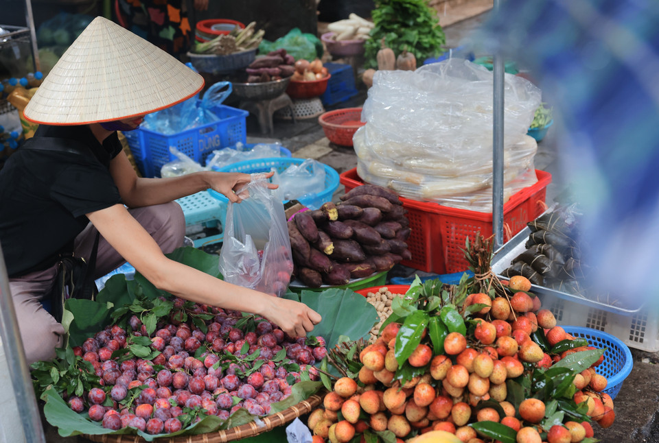 Các loại trái cây như vải, mận được bày bán nhiều dịp 5/5 âm lịch. (Ảnh: Hoàng Hiếu/ TTXVN)