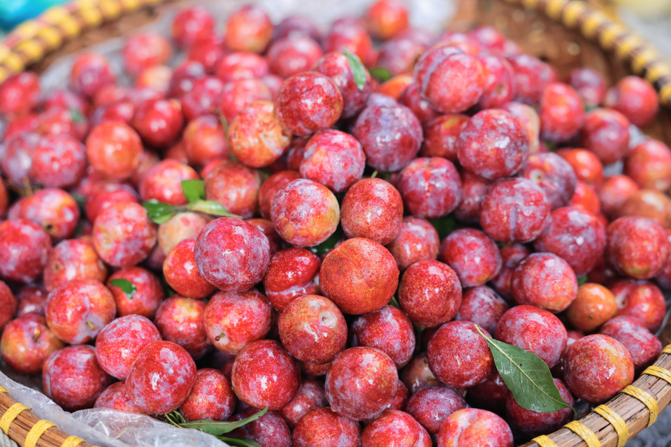 Mận là một trong những trái cây được bày bán nhiều dịp Tết Đoan Ngọ. (Ảnh: Hoàng Hiếu/TTXVN)