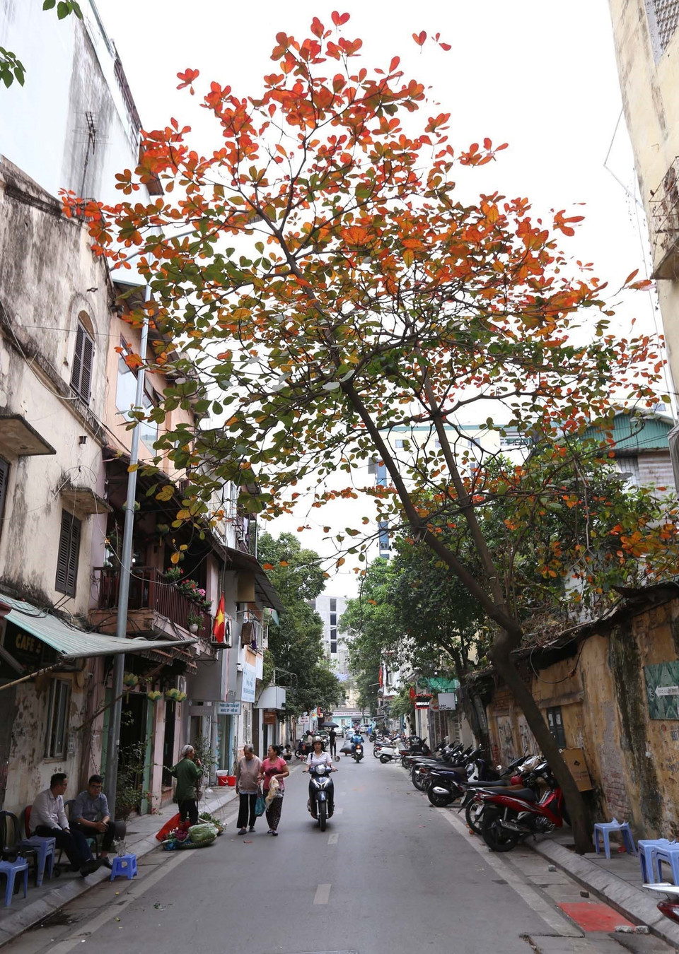 Ngõ phố Phan Chu Chinh Hà Nội đẹp như tranh Bùi Xuân Phái. (Ảnh: Anh Tuấn/TTXVN)