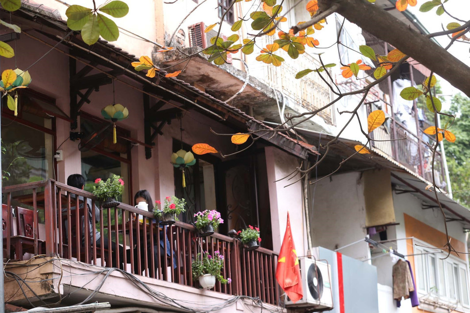 Bên những căn nhà cổ, lá bàng làm cho không gian phố đẹp đến nao lòng. (Ảnh: Anh Tuấn/TTXVN)