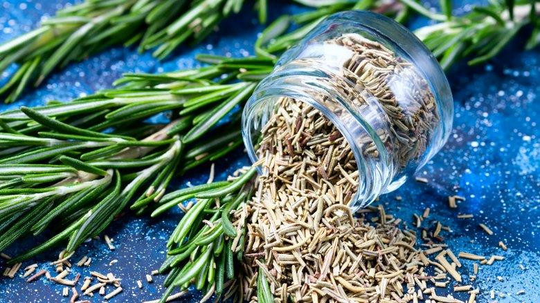 SẤY KHÔ THẢO DƯỢC: Phương pháp này đặc biệt tốt cho các loại lá có mùi hương mạnh như húng tây, oregano, hương thảo. Chỉ việc lót khăn giấy lên đĩa, xếp một lớp thảo mộc, sau đó phủ một chiếc khăn giấy khác lên. Sấy lần đầu ở chế độ cao nhất trong vòng 1 phút, sau đó lặp lại 20 giây, kiểm tra mỗi lần quay cho đến khi lá khô hoàn toàn. (Nguồn: mashed.com)