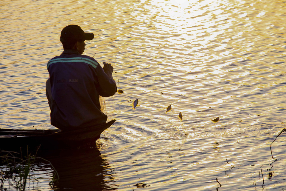 Người dân Hậu Giang giăng lưới bắt cá trên đồng mùa nước nổi. (Ảnh: Duy Khương/TTXVN)