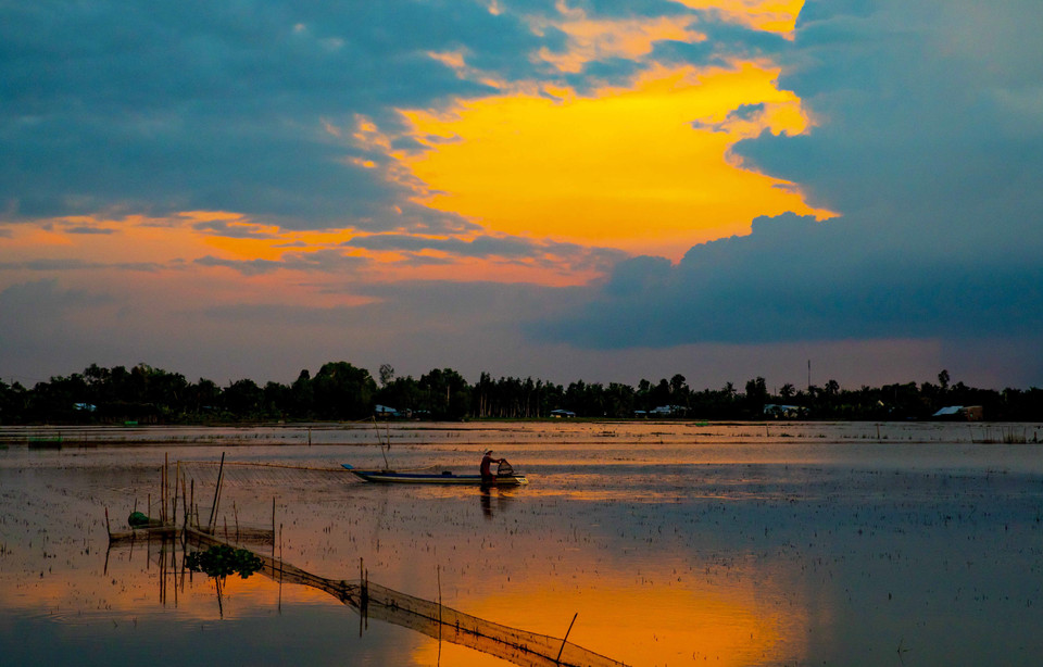 Người dân Hậu Giang bắt cá trên những cánh đồng ngập nước. (Ảnh: Duy Khương/TTXVN)